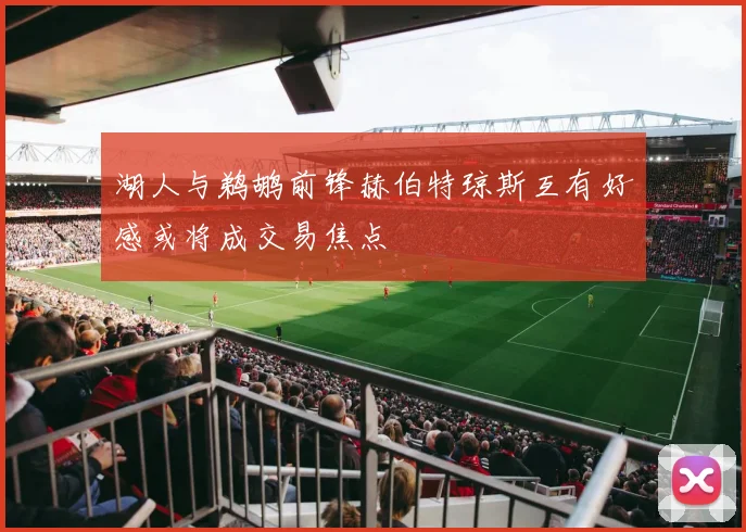 湖人与鹈鹕前锋赫伯特琼斯互有好感或将成交易焦点