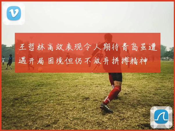 王哲林高效表现令人期待青岛虽遭遇开局困境但仍不放弃拼搏精神